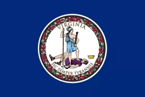 Virginia State Flag